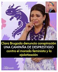 noticia-img